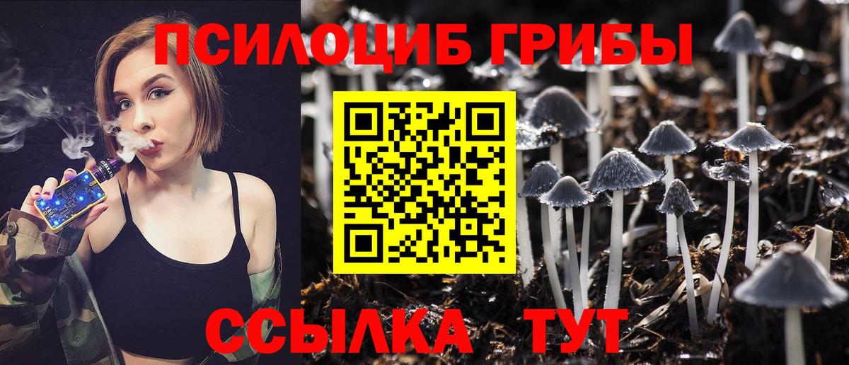 купить наркотики цена  Вход с VPN  Балашиха  Галлюциногенные грибы мухоморы 